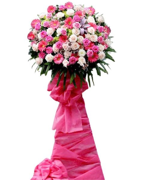 Kệ Hoa Mạnh Mẽ Tiến Bước