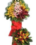  Kệ Hoa Màu Của Nắng - HCM48 