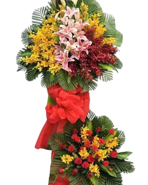 Kệ Hoa Màu Của Nắng