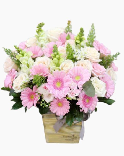 Hộp Hoa Gỗ Mây Ngàn