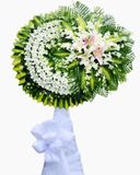  Vòng Hoa Tang Lễ Miss - HTL31 