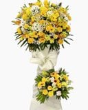  Kệ Hoa Nắng Sớm Mai - HCM49 