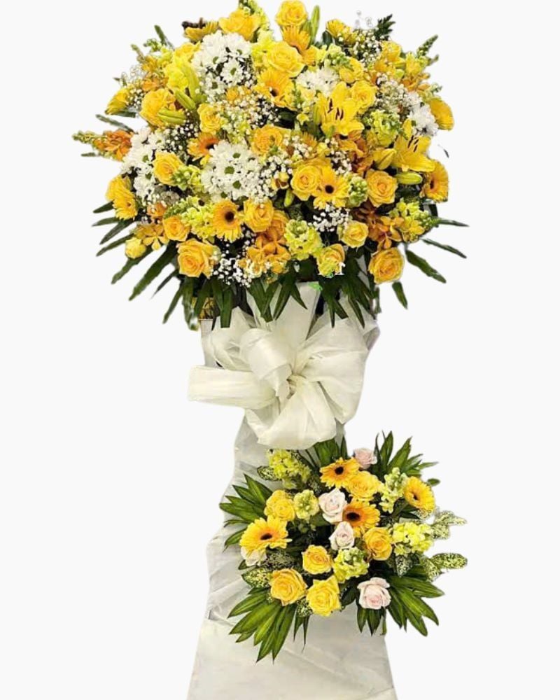  Kệ Hoa Nắng Sớm Mai - HCM49 