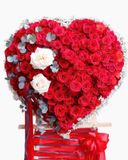  Kệ Hoa Tình Yêu New Love - GT16 