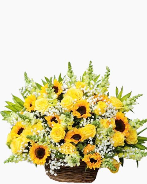 Giỏ Hoa Khai Trương Ngày Hạ