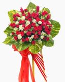  Kệ Hoa Ngày Rực Rỡ - HCM19 