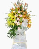  Kệ Hoa Nhiệt Huyết - GT10 