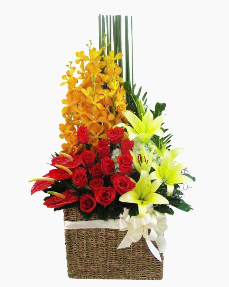  Giỏ Hoa Khai Trương Nhịp Điệu - HG46 