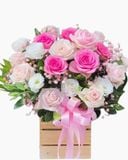  Nụ Hồng Mong Manh - HCH70 - Hoa Sinh Nhật 