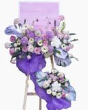  Kệ Hoa Rising Stars - GT32 