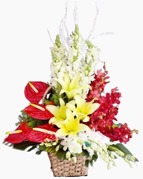 Giỏ Hoa Sắc Màu