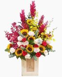  Hộp Hoa Khai Trương Để Bàn Sự Sống - HCH54 