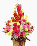  Hộp Hoa Để Bàn Khai Trương Sức Sống - HCH84 