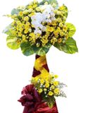  Kệ Hoa Tầm Cao Mới - HCM14 