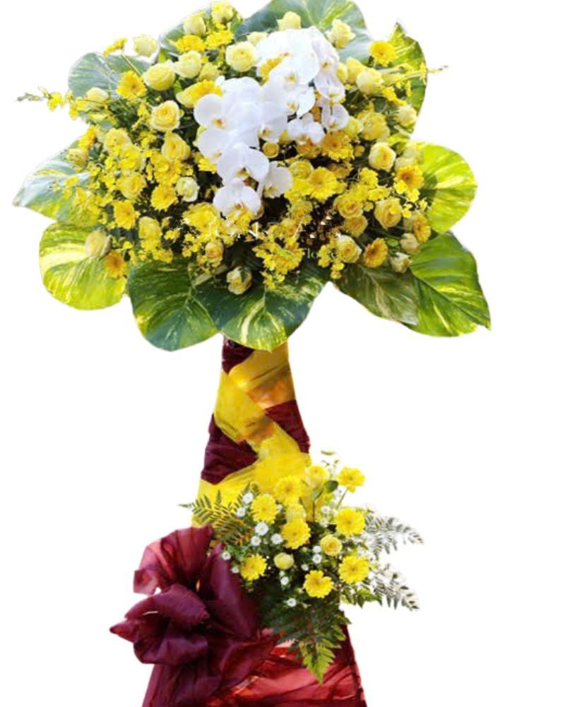  Kệ Hoa Tầm Cao Mới - HCM14 