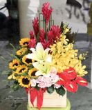  Hộp Hoa Thời Gian - HCH30 