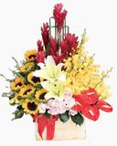  Hộp Hoa Thời Gian - HCH30 