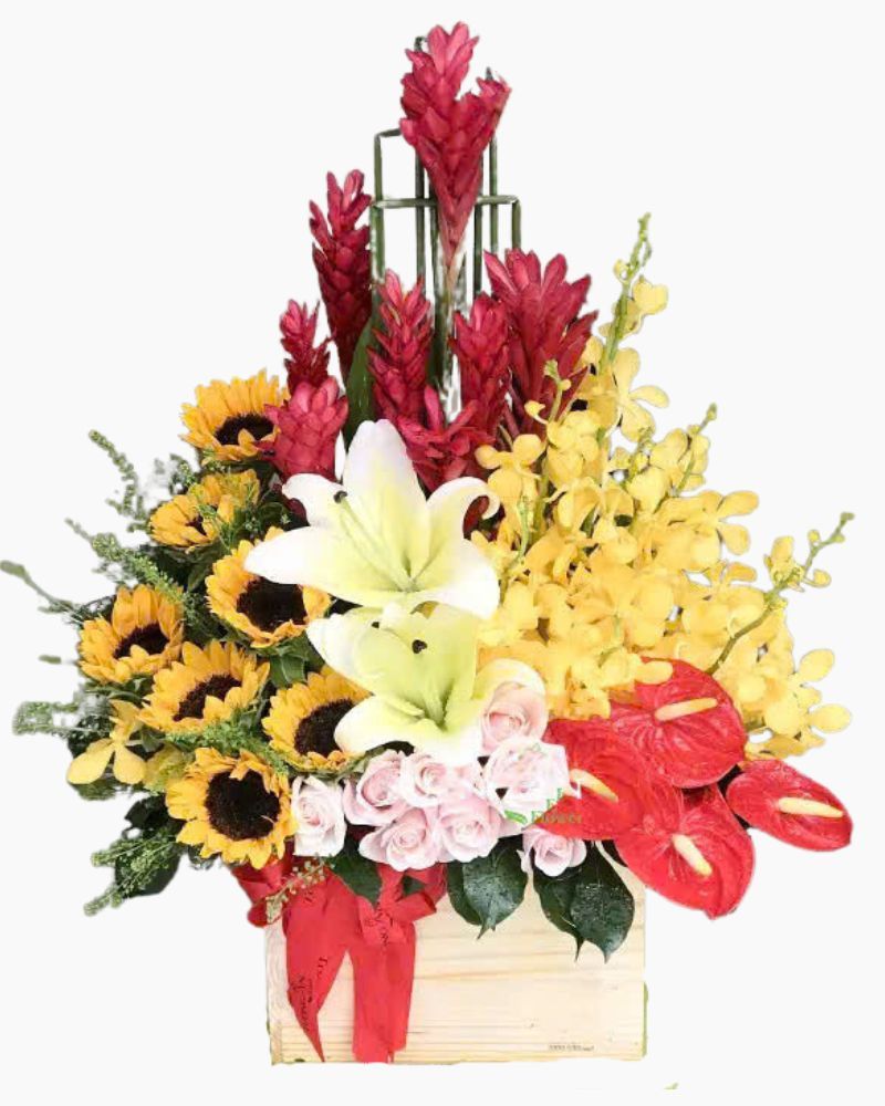  Hộp Hoa Thời Gian - HCH30 