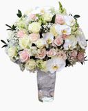  Bình Hoa Tinh Khôi - HCB15 