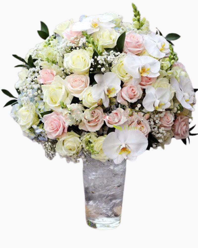  Bình Hoa Tinh Khôi - HCB15 