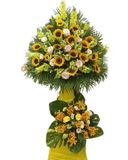  Kệ Hoa Toả Sáng - HCM13 