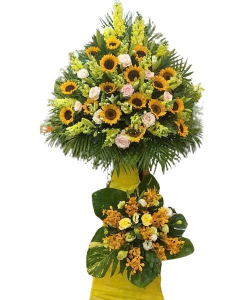 Kệ Hoa Toả Sáng