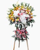  Kệ Hoa Triumph - GT02 