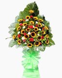  Kệ Hoa Tương Lai Tươi Sáng - HCM23 