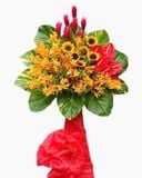  Kệ Hoa Ươm Nắng  - HCM26 