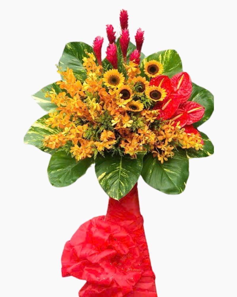  Kệ Hoa Ươm Nắng  - HCM26 