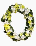  Vòng Đeo Cổ Thanh Lịch - VĐC02 