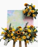  Kệ Hoa Vũ Điệu Rực Rỡ - TH08 