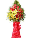  Kệ Hoa Vũ Khúc Thành Công - HCM21 