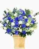  Hộp Hoa Khai Trương Để Bàn Xanh Biển - HCH55 