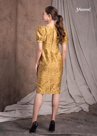 dam-body-hoa-hong-noi