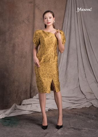 dam-body-hoa-hong-noi