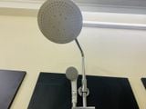 (New) Sen cây Toto TBW04401J van nhiệt SMA khống chế nhiệt độ