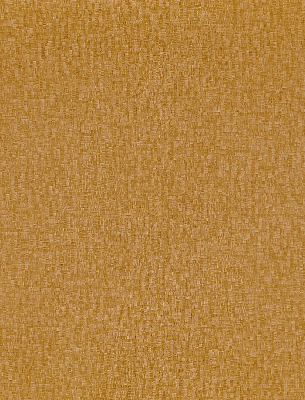  AG 424956830 