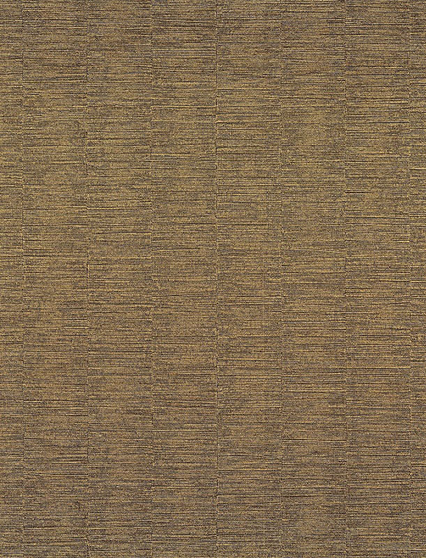  AG 424968370 