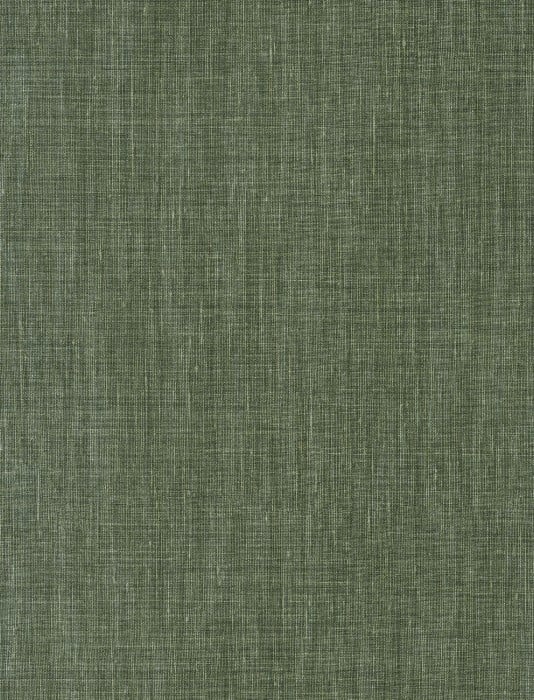  AV 426183594 