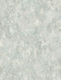  CRB 619496 