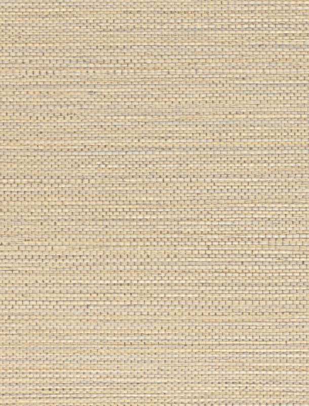  GB 424028370 