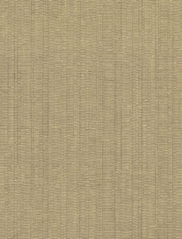  AL 598950 