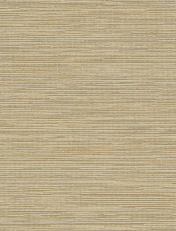  GR 598906 