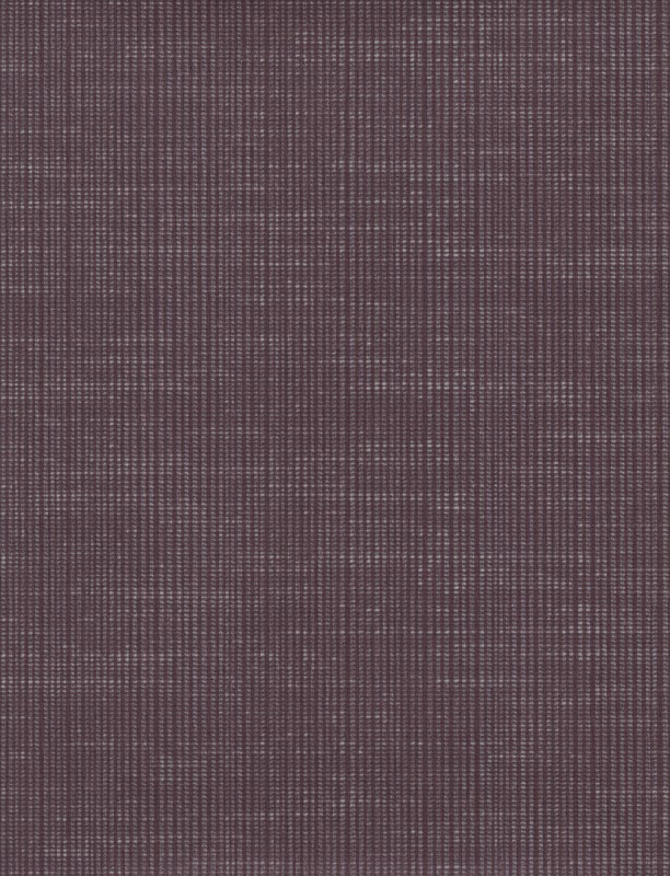  SQ 598828 