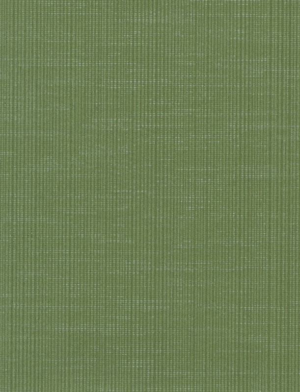  SQ 598826 