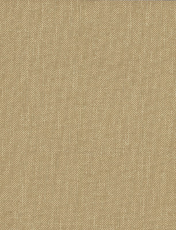  ARA 598755 
