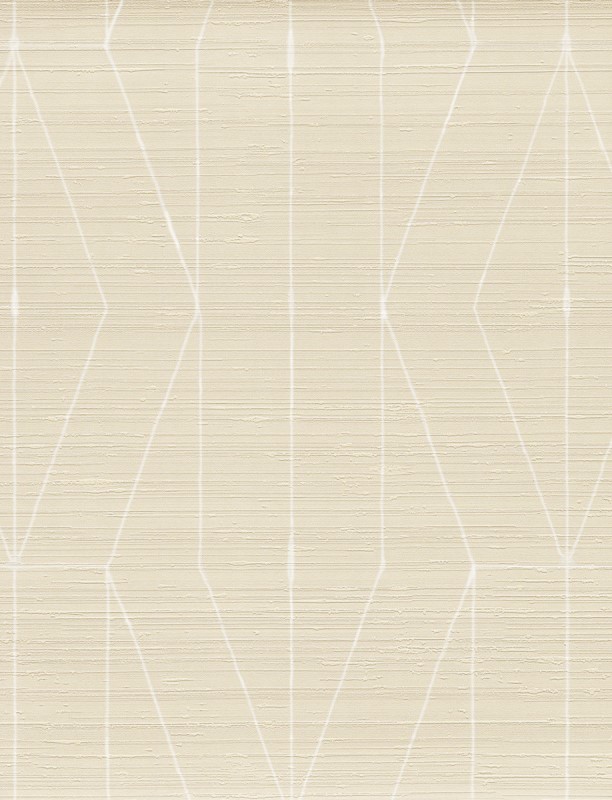  CIN 598752 