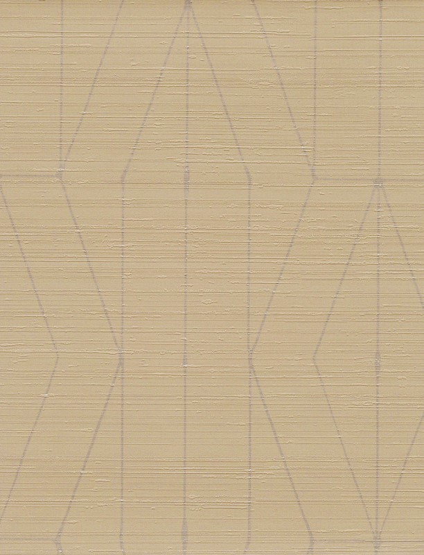  CIN 598750 