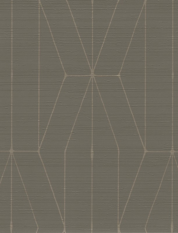 CIN 598748 
